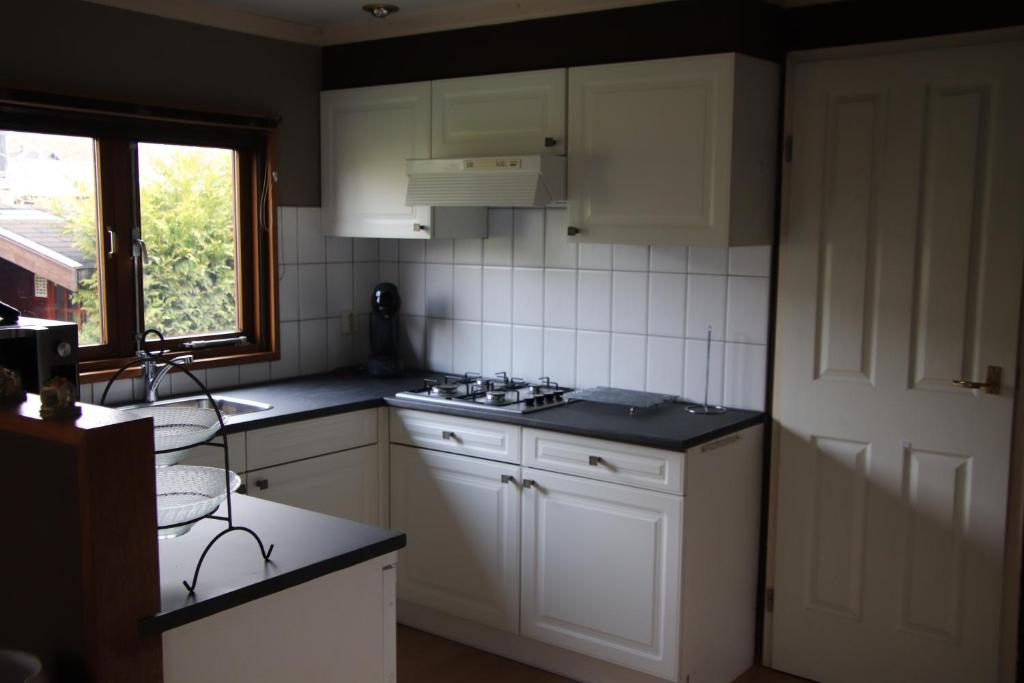 Köök või kööginurk majutusasutuses Veluwe Park Reewold Chalet Infinity