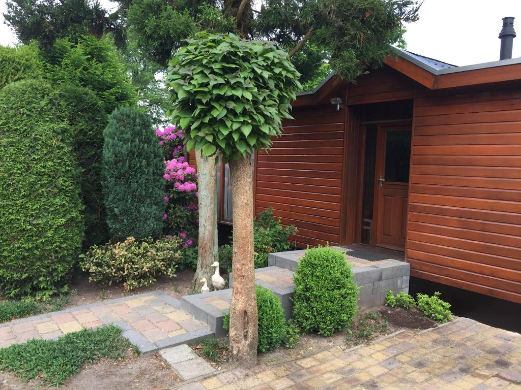Aed väljaspool majutusasutust Veluwe Park Reewold Chalet Infinity
