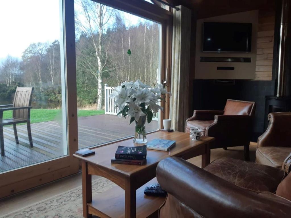 Fern Lodge - Luxury Lodge with steamroom in Perthshire photo
