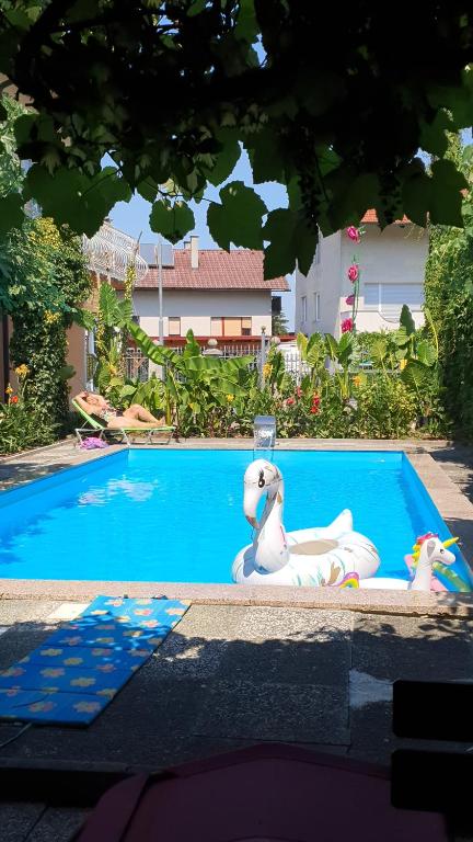a swimming pool with a toy duck and two ducks at APARTMAN MURKO P-3 