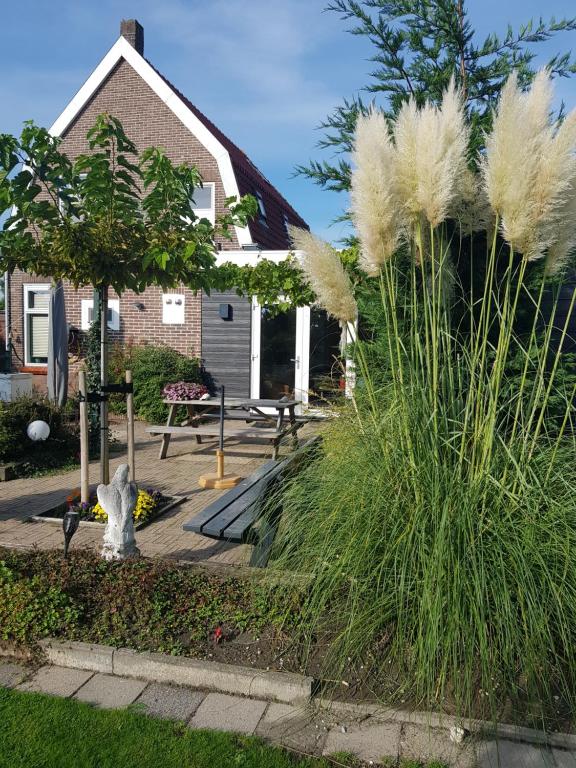Zahrada ubytování B&B WELKOM Zierikzee