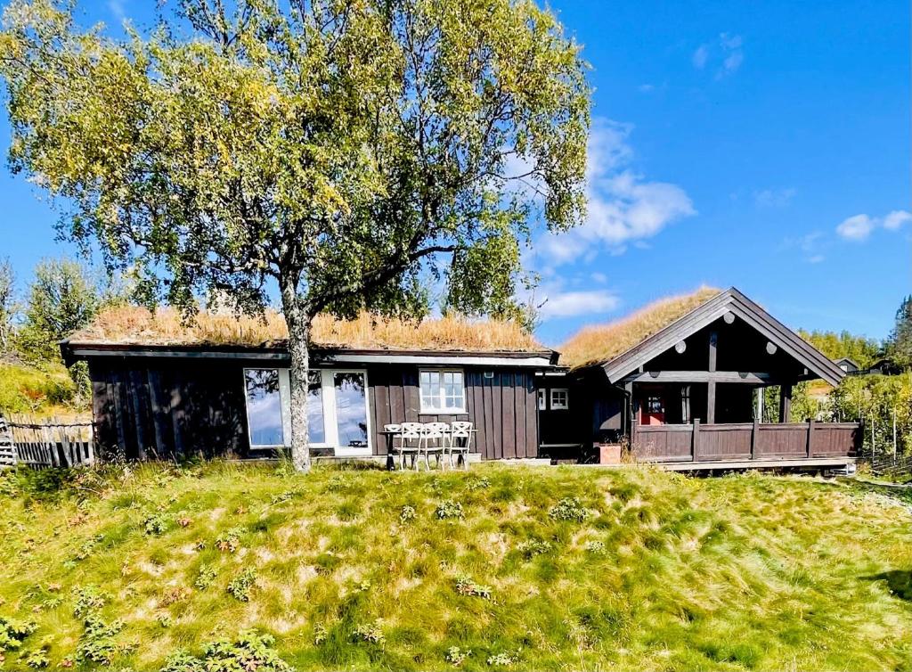 a house with a grass roof with a tree at Vasethytta - cabin with a lovely view in Brujordet