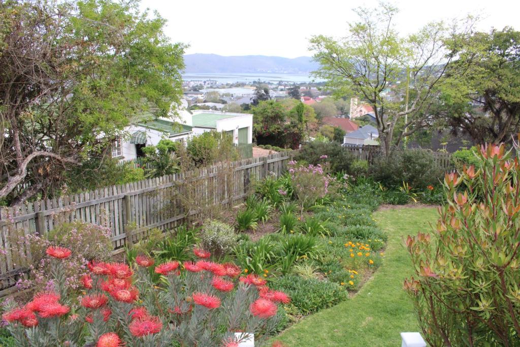 14 Mount Joy - Image 23