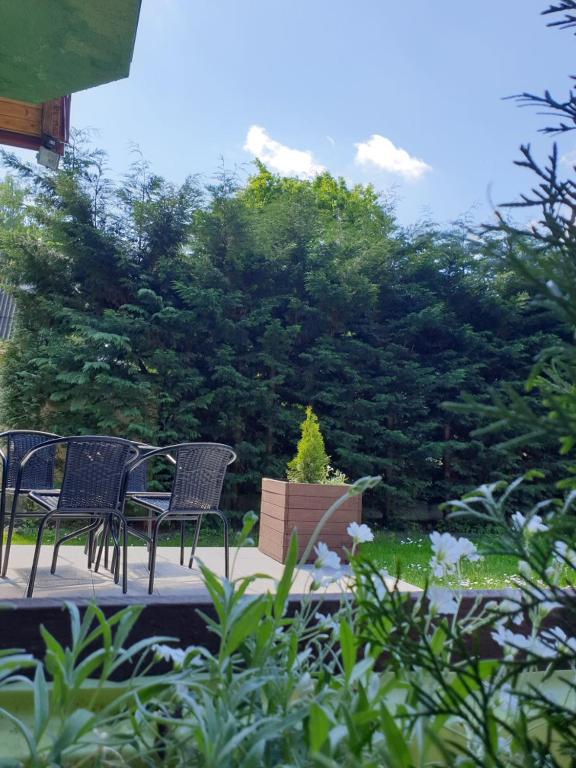 Vonkajšia záhrada v ubytovaní Pokoje u Honi