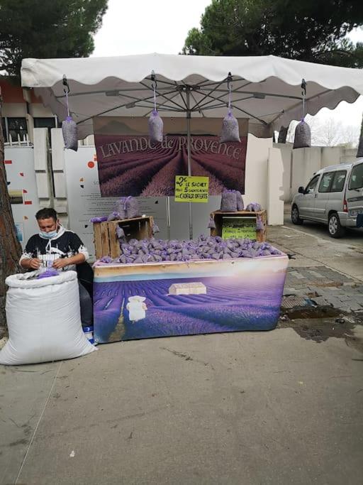 a man sitting in front of a stand with purple onions at Résidence arc en ciel, proche de la plage accés direct ,internet et parking privatif gratuit in La Grande Motte