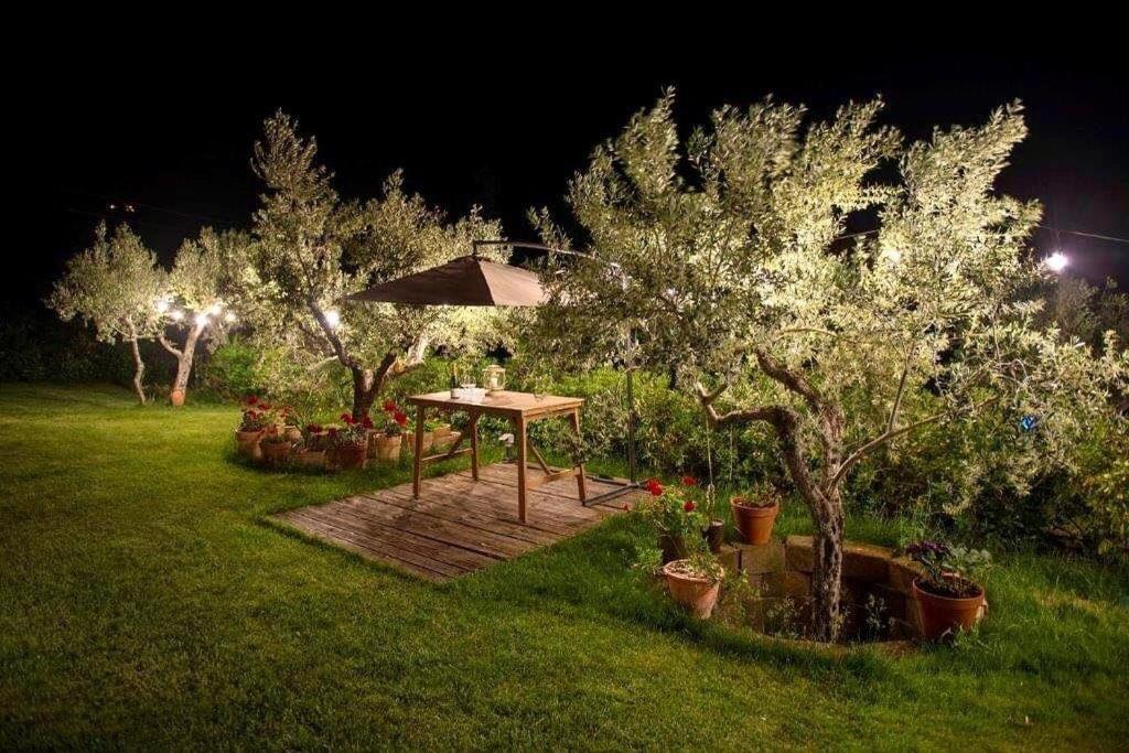 Zahrada ubytování GIULIVETO Bed and Breakfast
