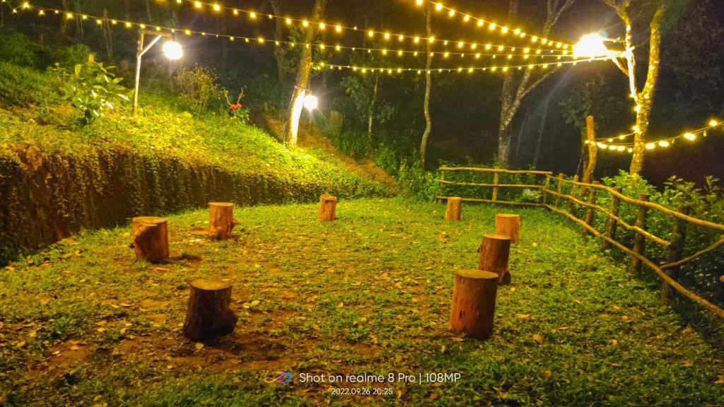 Zahrada ubytování Spies Munnar Camping