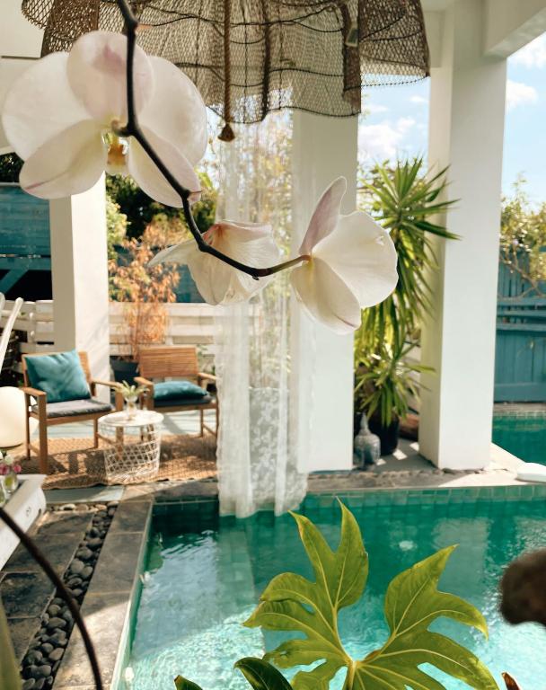 Bazén v ubytování Chambres d'hôtes & spa Le Jardin de Ravintsara nebo v jeho okolí