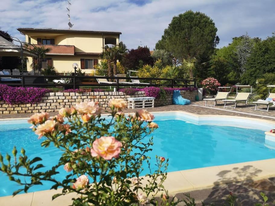 Adorabile tavernetta con piscina
