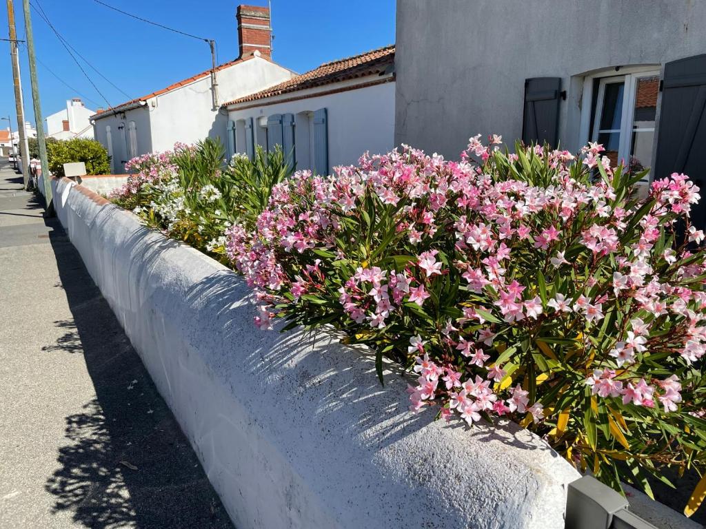 een rij roze bloemen in een stenen muur bij l'Herbo' MAGNIFIQUE maison à 2 pas du porte de Pêche de l'Herbaudière in LʼHerbaudière