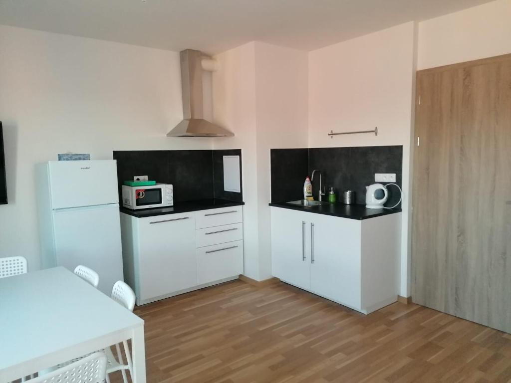 kuchnia z białymi szafkami i białą lodówką w obiekcie One bedroom penthouse apartment # 82 in the brand new building close to the city center with free parking w Pradze