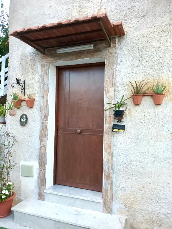 brązowe drzwi na boku budynku z doniczkami w obiekcie Aromi di Sicilia Casa Vacanze w mieście Palermo