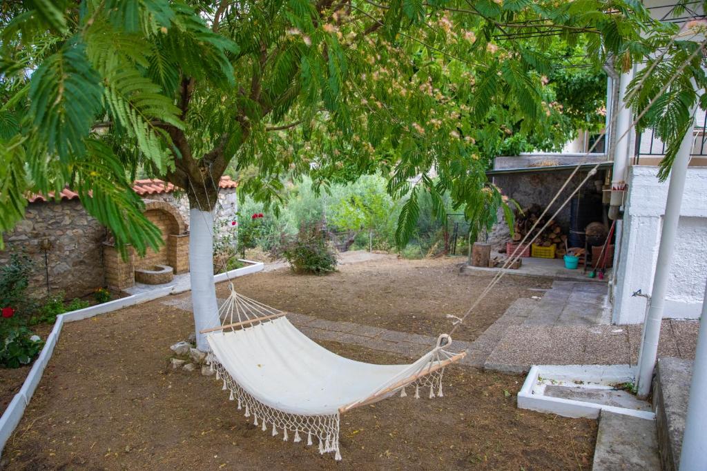 a hammock hanging from a tree in a yard at Iria's Cosy House, BBQ, garden, indoor fireplace in Sparti