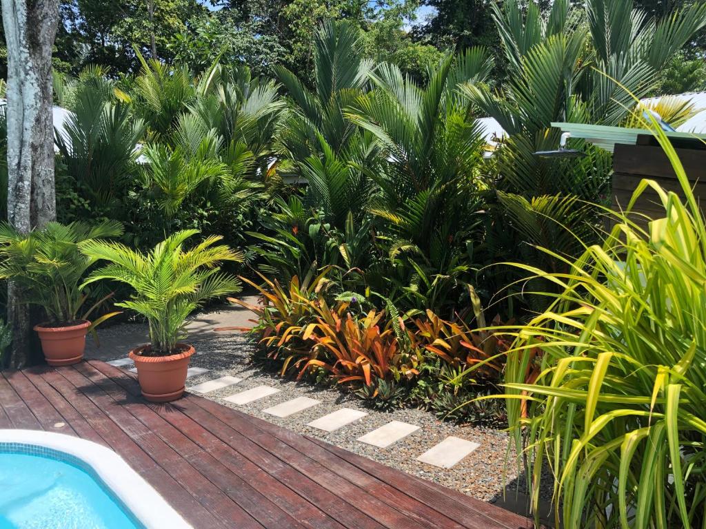 Zahrada ubytování Alloro Jungle Villas