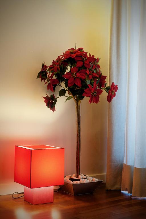 Apartamentos Abad Toledo - 14