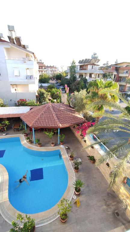 Bazén v ubytování Wonder Life Hotel nebo v jeho okolí