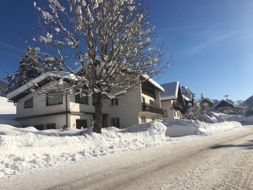 a snow covered road in front of a house with a tree at Haus Alpentraum in Patergassen