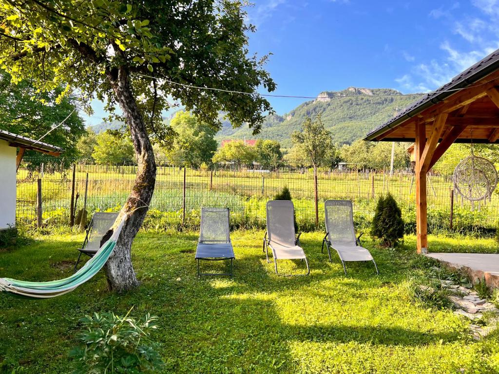 a group of chairs and a hammock under a tree at Cozy House Zărnești in Predeluţ