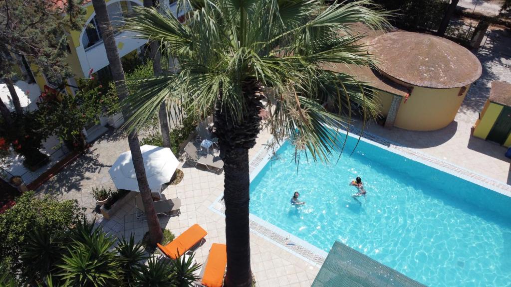 an overhead view of a palm tree and people in a swimming pool at LEMON GARDEN in Vasilikos