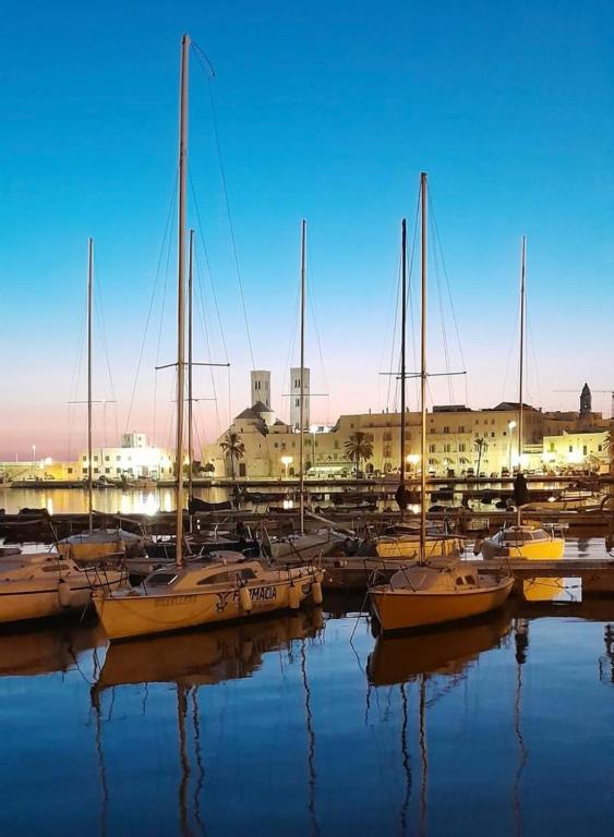 grupa łodzi zakotwiczona w porcie w nocy w obiekcie Secondo 23 w mieście Molfetta