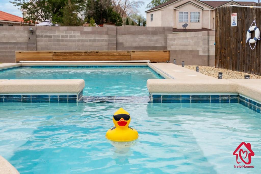 um pato de borracha na água numa piscina em Casa Bonita - An Irvie Home em Albuquerque