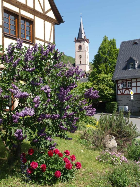 Zahrada ubytování Hotel Im Schulhaus