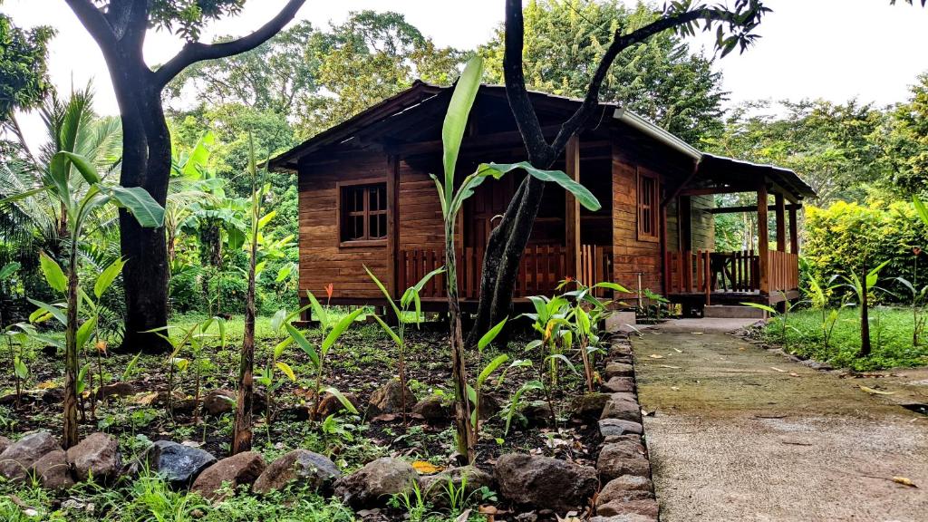 drewniany domek w lesie z ścieżką prowadzącą do niego w obiekcie Wood Cabin - Cabana Maderas w mieście Balgue