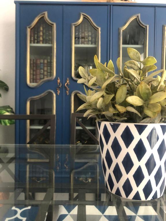 a vase with a plant on a glass table at CASA AYARAN in Baeza