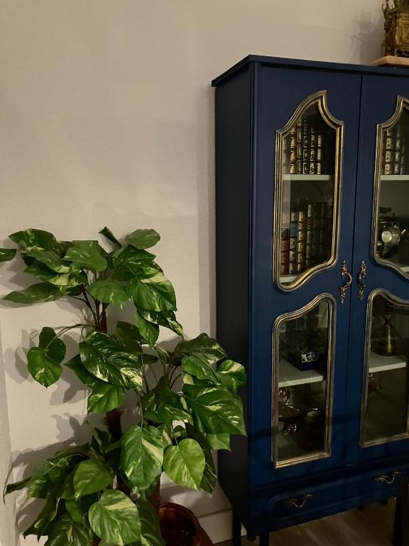 Fotografie z fotogalerie ubytování CASA AYARAN v destinaci Baeza