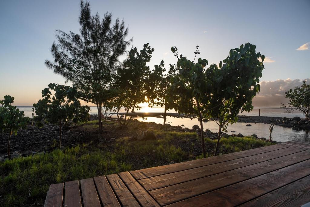 Fare Vavi - photo 8 - Tahiti, Polynésie