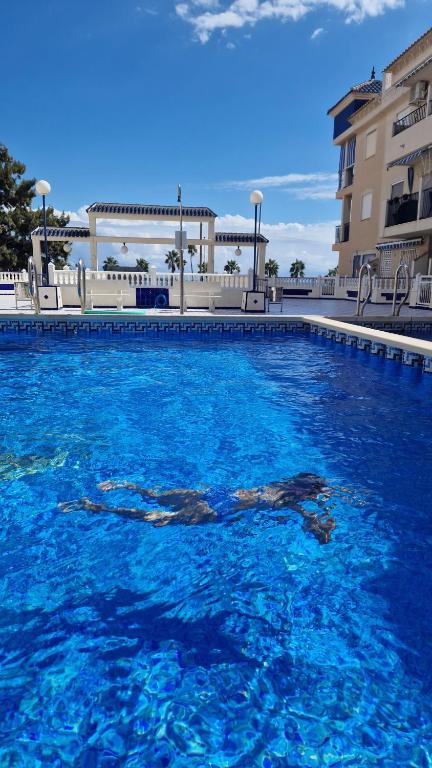 Bazén v ubytovaní Apartamenty Deluxe - Los Naufragos -Torrevieja Costa Blanca alebo v jeho blízkosti