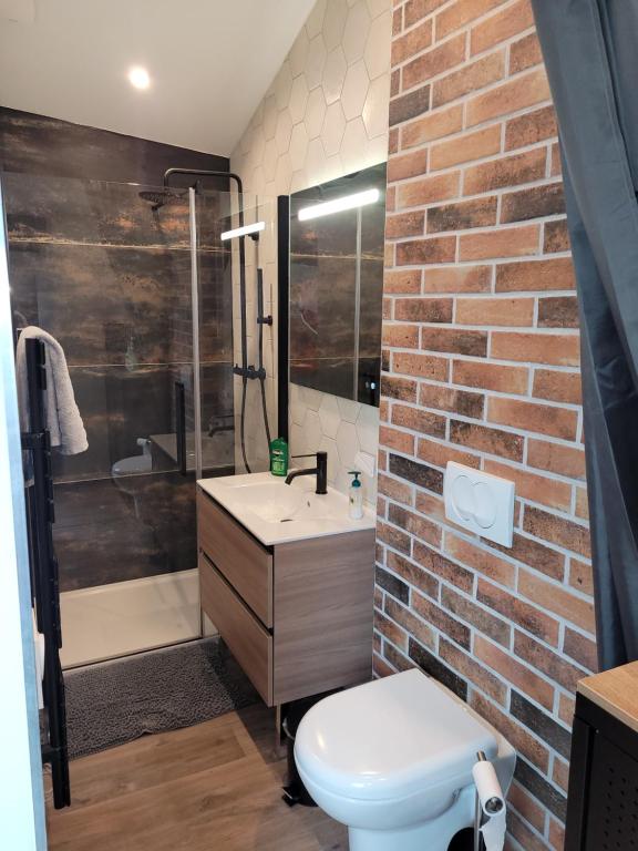 a brick walled bathroom with a toilet and a shower at Studio au centre-ville in Saint-Jean-de-Losne