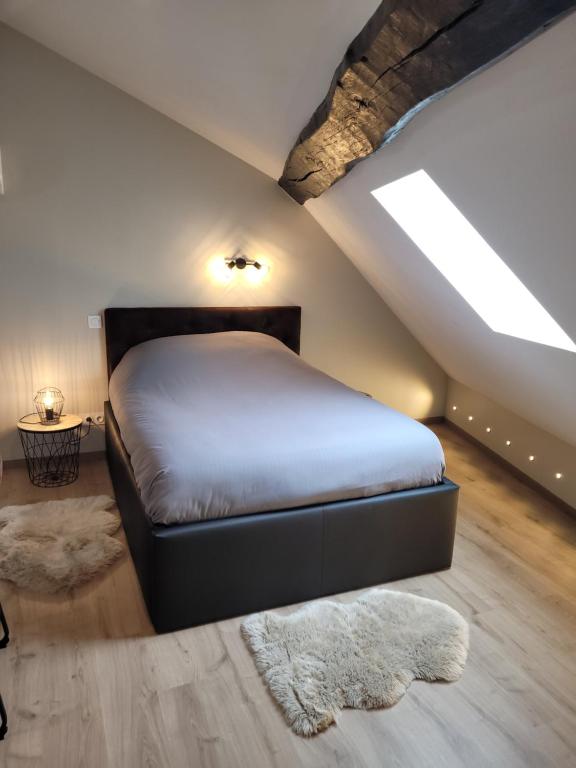 a bedroom with a bed and a skylight at Studio au centre-ville in Saint-Jean-de-Losne