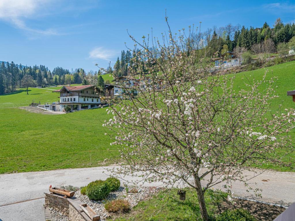 Príroda v okolí apartmánu