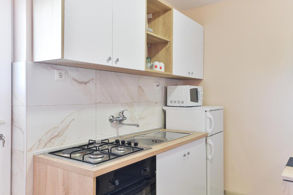 Kuchyňa alebo kuchynka v ubytovaní Apartments by the sea Bibinje, Zadar - 5786