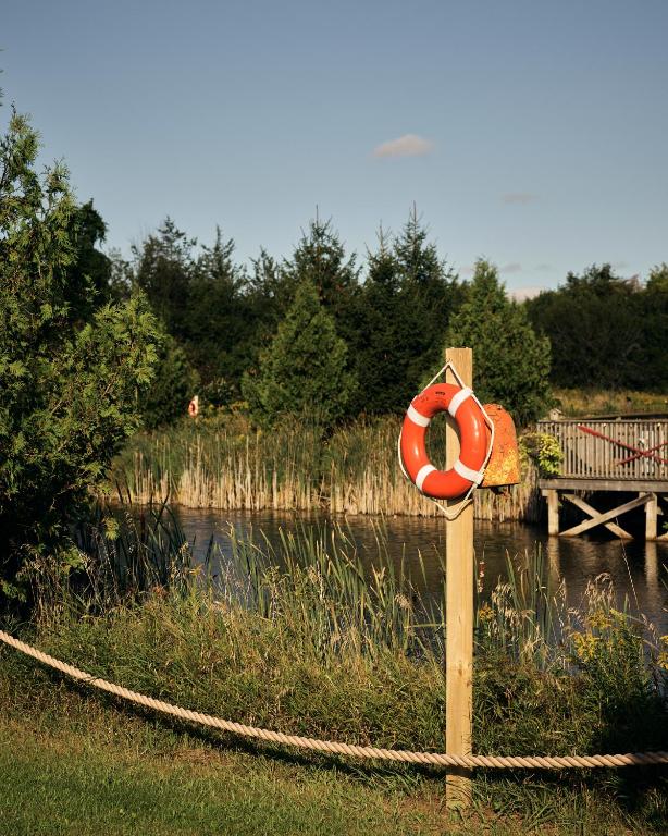 Natuurlandschap vlak bij het hotel