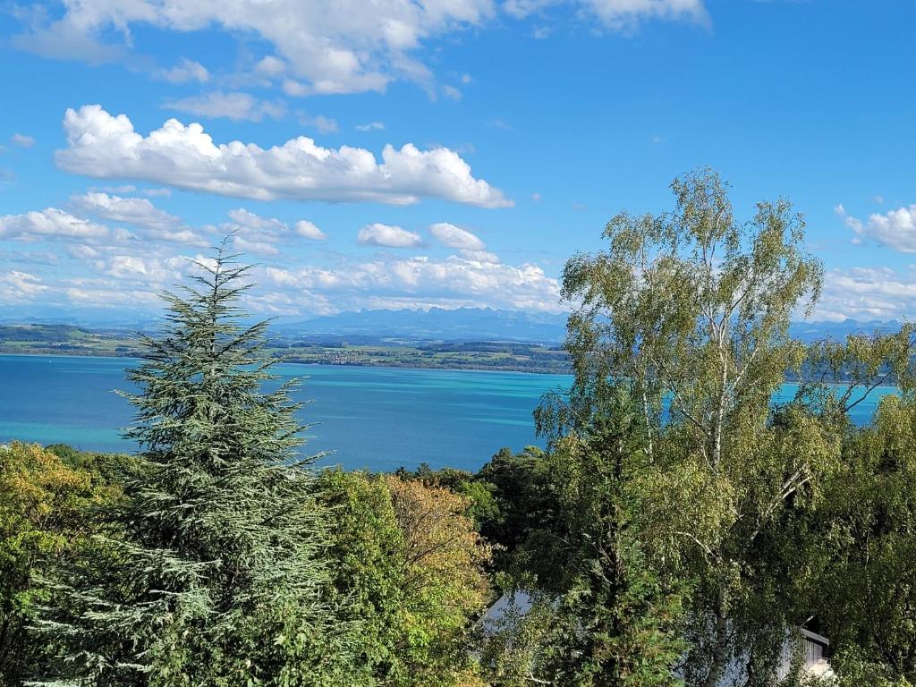a view of a large body of water with trees at 3-bedroom apartment with spectacular view in Neuchâtel
