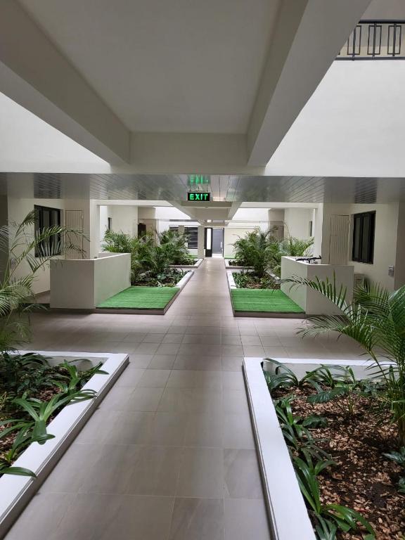 um corredor vazio num edifício com plantas em Elegant 1-bedroom apartment with close amenities em Quatre Bornes