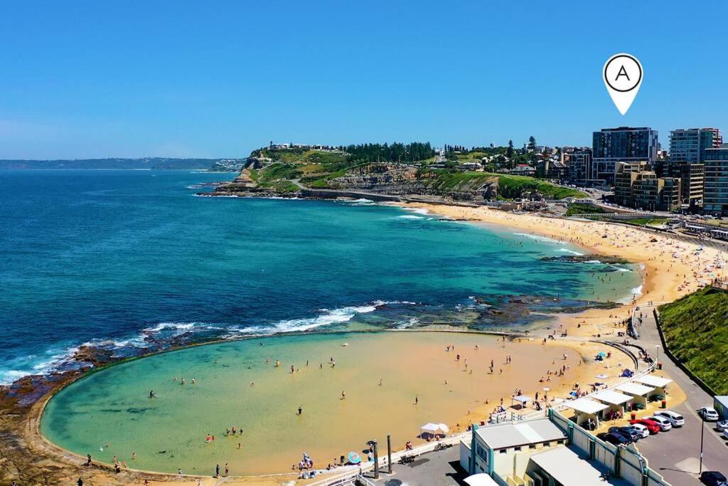 an aerial view of a beach with people in the water at Arena Newcastle Beach in Newcastle