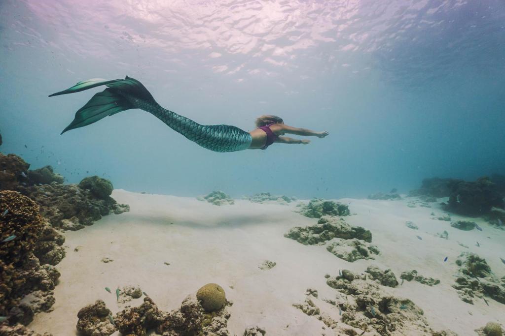a person floating in the water over a reef at Siyam World Maldives - 24-Hour Premium All-inclusive with Free Transfer in Dhigurah