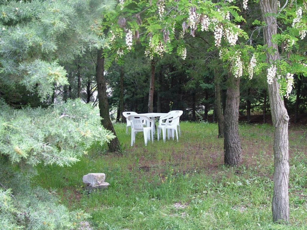 Zahrada ubytování B&B & Residence Pozzo Misseo