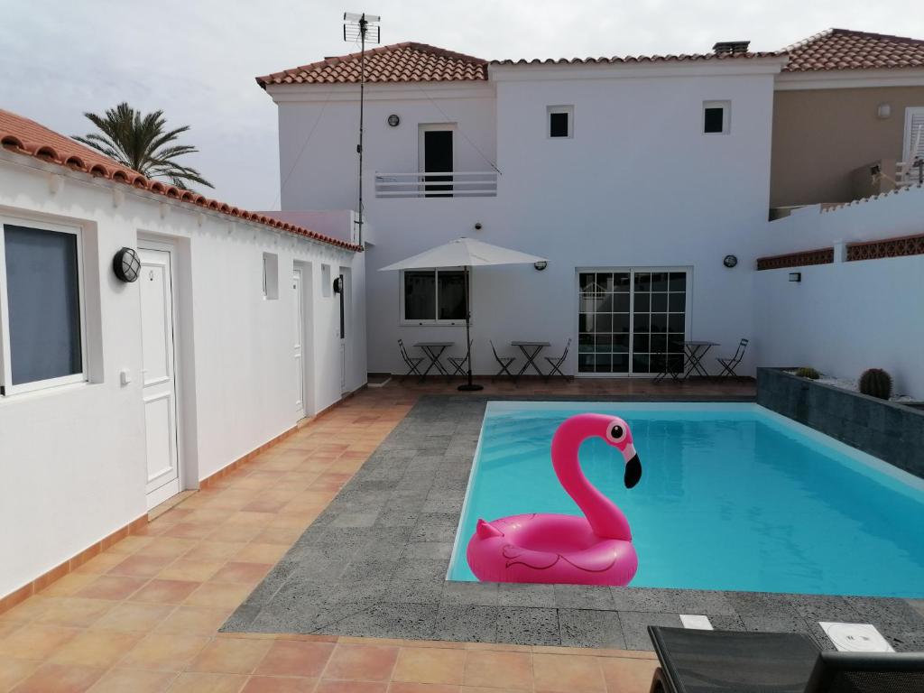 una piscina con un flamenco rosa en medio de una casa en Casa Reina, en Gran Tarajal