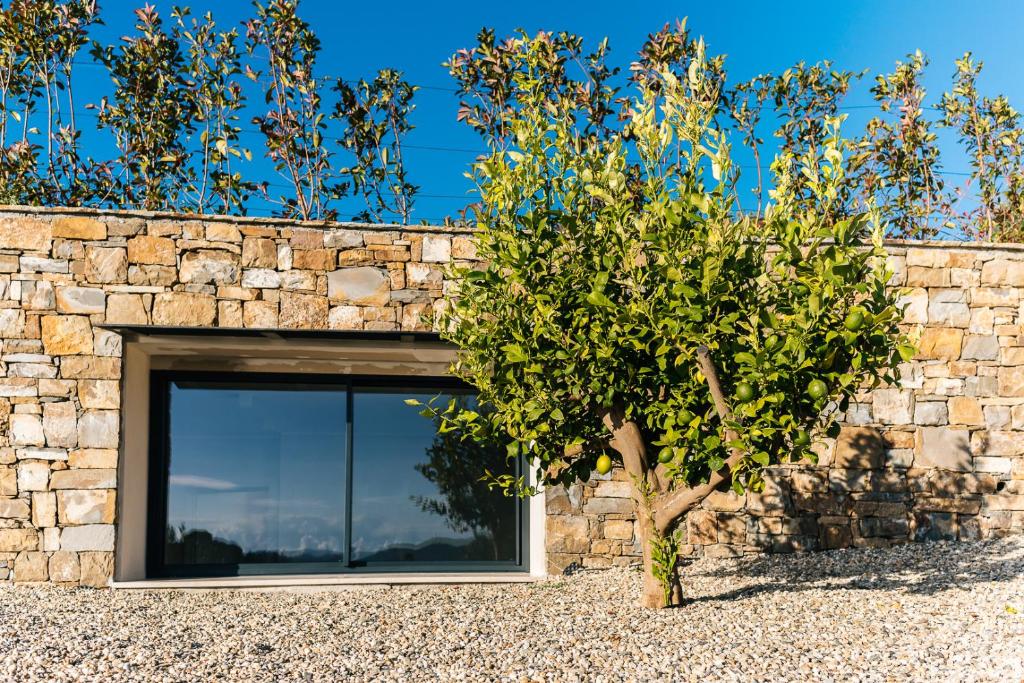 Fotografia z galérie ubytovania Villa Sabrina Riviera dei Fiori a Picco sul Mare con Piscina Privata ,WELLNESS & SPA v destinácii Imperia