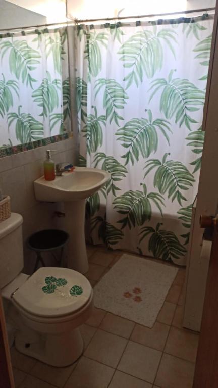 een badkamer met een douchegordijn, een toilet en een wastafel bij Habitacion en Metro escuela militar in Santiago