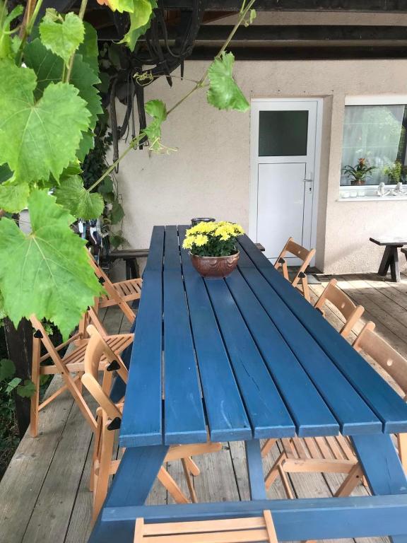 Fotografia z galérie ubytovania Agroturystyka Mętno 18 v destinácii Mętno