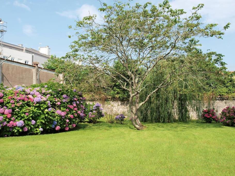 A garden outside Precioso apartamento wifi, aparcamiento, piscina en Llanes