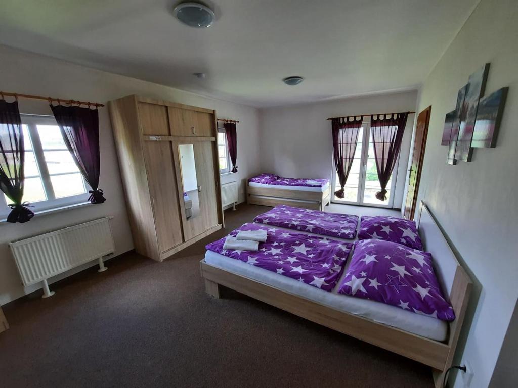 Postel nebo postele na pokoji v ubytování Guest House Starý Sedloňov
