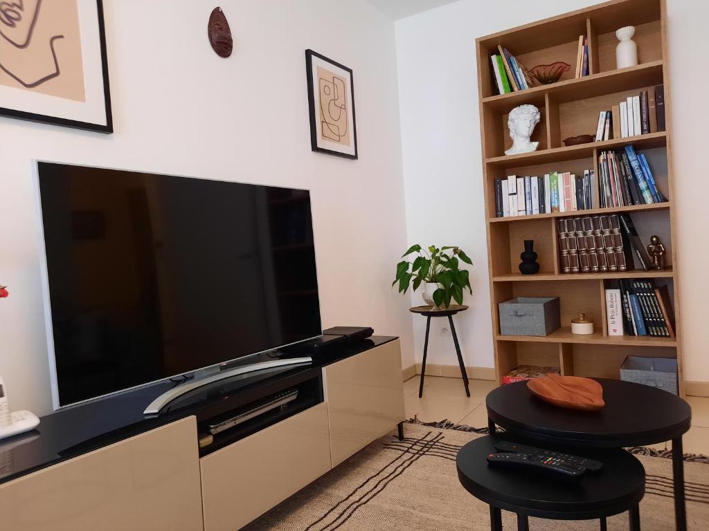 Televízia a/alebo spoločenská miestnosť v ubytovaní Pytheas Carré d'Or