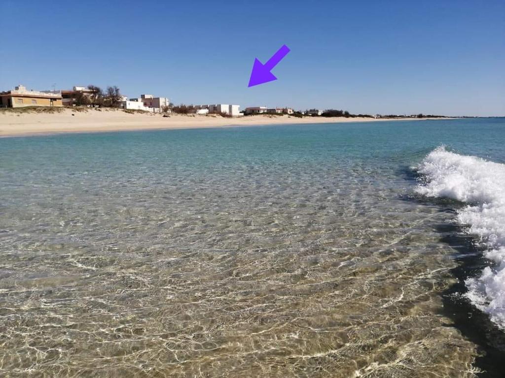 a blue kite flying over the water with a beach at SULLA SPIAGGIA VILLETTA A SCHIERA int.11 in San Pietro in Bevagna