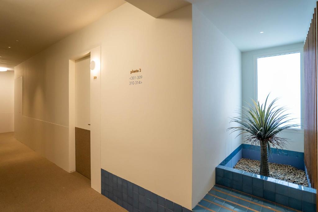 Fotografie z fotogalerie ubytování Teide Rooms v destinaci Puerto de Sagunto